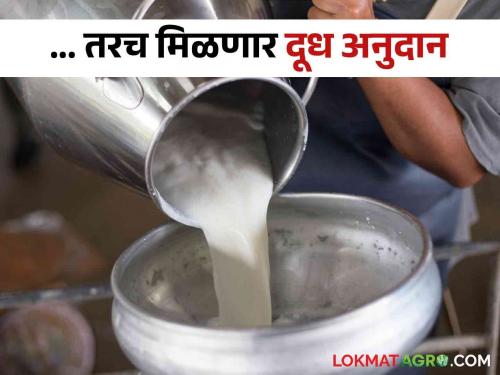 Only those who pay at least this price for cow milk will get subsidy | गाय दुधाला किमान एवढा दर देणाऱ्यांनाच मिळणार अनुदान