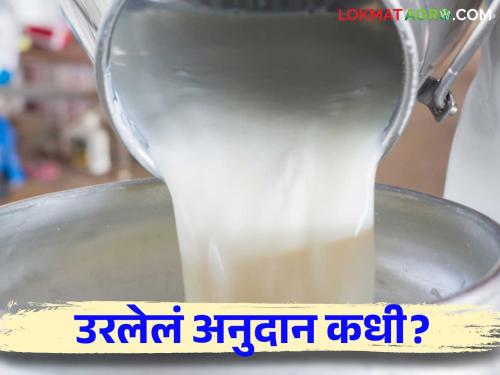 Dudh Anudan : Milk subsidy scheme will end when will November subsidy be available | Dudh Anudan : दूध अनुदान योजना संपणार नोव्हेंबरचे अनुदान कधी मिळणार