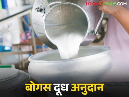 After the increase in milk subsidy, milk institutions suddenly increased; What is the matter? Read in detail | दूध अनुदान वाढीनंतर अचानक दूध संस्थाही वाढल्या; काय आहे प्रकरण? वाचा सविस्तर