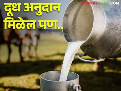 Dudh Anudan What are the guidelines for Milk Subsidy Scheme? | Dudh Anudan दुध अनुदान योजनेसाठी काय आहेत मार्गदर्शक सूचना