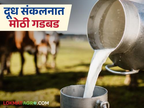 Dudh Anudan : 78 milk institutions in these three districts of the state on the radar of action; Read in detail | Dudh Anudan : राज्यात 'या' तीन जिल्ह्यांतील ७८ दूध संस्था कारवाईच्या रडारवर; वाचा सविस्तर