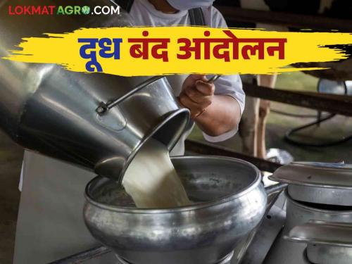 Dudh Andolan: 'Dudh Band' strike in Satara from 23rd December; What are the demands of milk producing farmers? | Dudh Andolan : साताऱ्यात २३ डिसेंबरपासून 'दूध बंद' आंदोलन; काय आहेत दूध उत्पादक शेतकऱ्यांच्या मागण्या