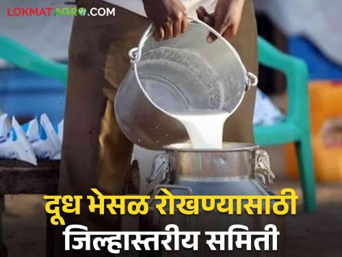 Latest News Agriculture News District level committee to prevent milk adulteration | Agriculture News : दूध भेसळ रोखण्यासाठी नवे पाऊल, जिल्हास्तरीय समिती कशी काम करणार? 