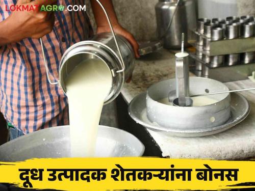 Five lakh milk producers in the district will get Diwali bonus through milk | दुधाच्या माध्यमातून जिल्ह्यातील पाच लाख दूध उत्पादकांना मिळणार दिवाळी बोनस