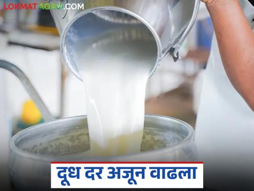 Dudh Dar Vadh : This milk association in the state increased the milk purchase price three times in a month | Dudh Dar Vadh : राज्यातील या दूध संघाने दूध खरेदी दरात महिन्याभरात केली तीन वेळा वाढ