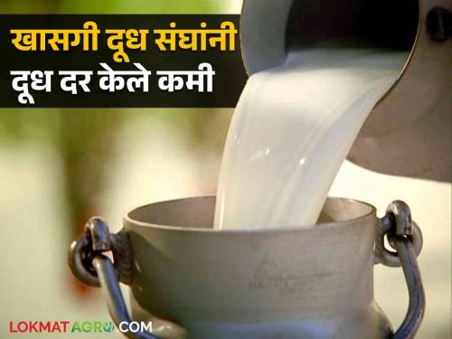 Dudh Anudan : Govt increased subsidy; How did the private milk sangha reduce the price? Read in detail | Dudh Anudan : शासनाने अनुदान वाढविले; खासगी दूध संघांनी दर घटविले कसे? वाचा सविस्तर