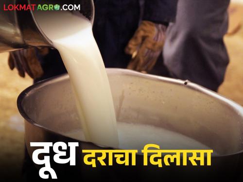 Along with the major milk associations in Maharashtra, this group has also increased the milk purchase price from today. | राज्यातील प्रमुख दूध संघाबरोबर या ग्रुपनेही आजपासून दूध खरेदी दरात केली वाढ