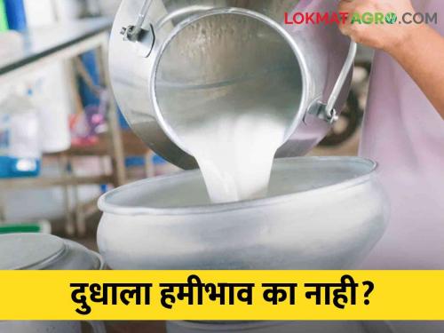 Milk products are always sold at high prices; So why the low price of milk? | दुधाचे पदार्थ कायम चढ्या भावाने विकले जातात; मग दुधाला कमी भाव का?