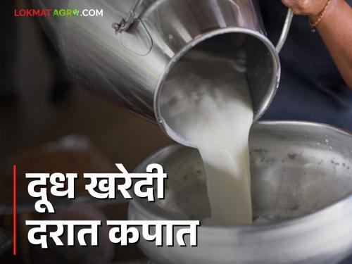 Dudh Dar : Reduction of three rupees in purchase price of cow milk of Gokul and Warana dairy | Dudh Dar : गोकुळ व वारणाच्या गाय दूध खरेदी दरात तीन रुपयांची कपात