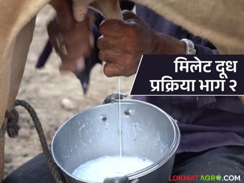 Latest news Millet Milk What is the process of making millet milk Understand the first four steps | Millet Milk : मिलेट मिल्क तयार करण्याची प्रक्रिया कशी असते? समजून घ्या पहिले चार टप्पे 