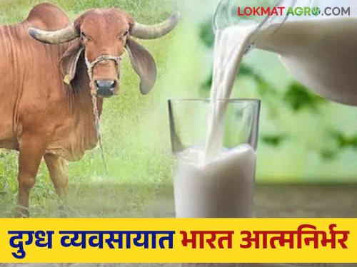 India first in milk production  | India first in milk production : दूध उत्पादनात भारत प्रथम 