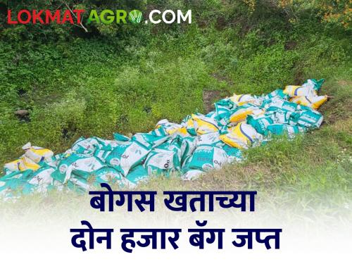 Two thousand bags of chemical fertilizer buried in the field on the outskirts of Nimbola village were seized. | निंबोळा गावाच्या शिवारातील शेतात पुरून ठेवलेल्या रासायनिक खताच्या दोन हजार बॅग जप्त