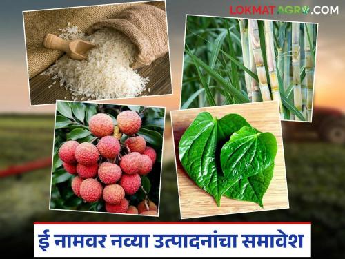 Latest News These 7 new agricultural products added on e-NAM portal see crops list | E Nam Portal : ऊस पिकाबरोबर आता 'ही' पिकेही ई नाम पोर्टलवर आली, वाचा सविस्तर 