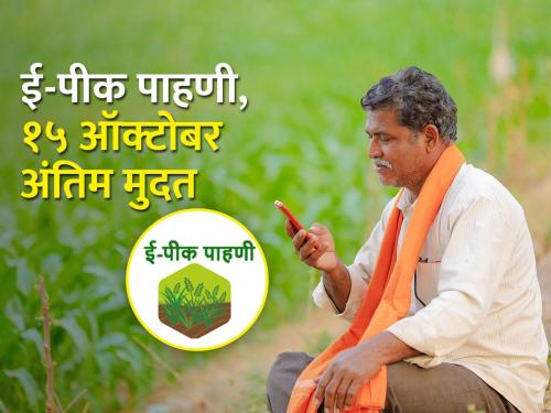Record of crops on 65 percent area in the state on mobile app | मोबाइल ॲपवर राज्यात ६५ टक्के क्षेत्रावरील पिकांची नोंद