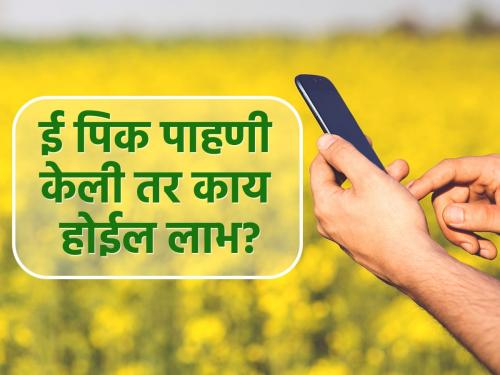 What will be the benefit of e-pick pahani inspection? | ई-पिक पाहणी केली तर काय होईल लाभ?