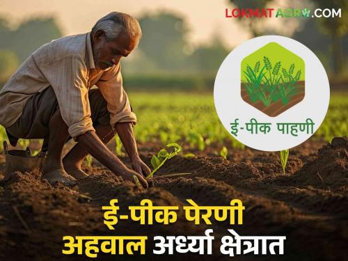 Farmers E-Peak registration half due to lack of smart phones   | Digital Crop Survey : स्मार्ट फोन नसल्याने शेतकरी ई़़-पीक नोंदणी निम्मीच