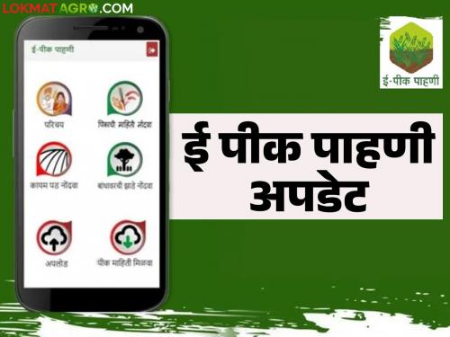e pik pahani : Farmers will get a separate period of 45 days to conduct e-pik inspection | e pik pahani : ई-पीक पाहणी करण्यासाठी शेतकऱ्यांना ४५ दिवसांचा स्वतंत्र कालावधी मिळणार