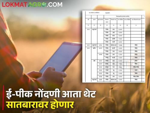 Now a single app across the country for crop registration; Registration will be held directly on Satbara land document | पीक नोंदणीसाठी देशभरात आता एकच ॲप; नोंदणी थेट सातबारावर होणार