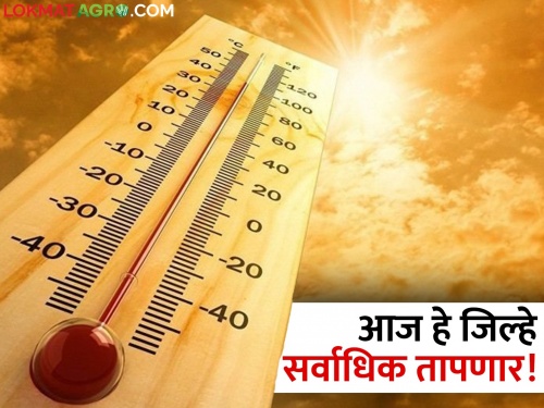 temperature today: These districts of the state will be the hottest today! Forecast by Meteorological Department | temperature today: आज राज्यातील हे जिल्हे सर्वाधिक तापणार! हवामान विभागाचा अंदाज