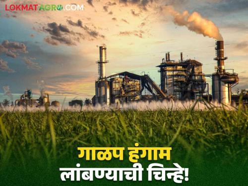 Instructions Chief Minister and Chief Secretary extend the harvesting season! Will the decision come today? | गाळप हंगाम लांबवण्यासाठी मुख्यमंत्री अन् मुख्य सचिवांच्या सूचना! आज निर्णय येणार?