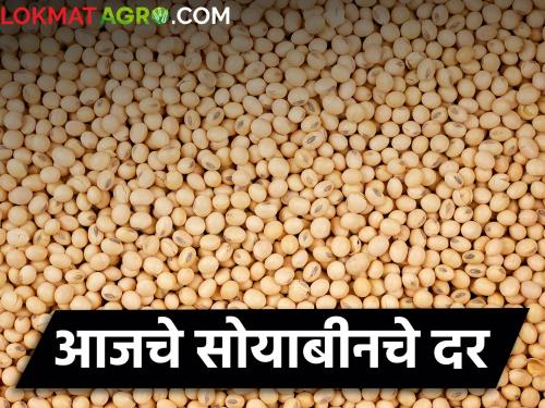 How much did soybeans get in which market committee today? | आज कोणत्या बाजार समितीत सोयाबीनला किती मिळाला दर?