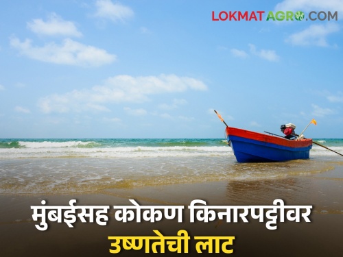 heatwave alert: Heat wave alert for Konkan coast including Mumbai Thane, next 5 days.... | heatwave alert: मुंबई ठाण्यासह कोकण किनारपट्टीवर उष्ण तापमानाचा इशारा, पुढील ५ दिवस....