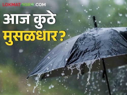 Monsoon Alert Maharashtra: Heavy rain today in Marathwada, Vidarbha along with Madhya Maharashtra; Alert to 24 districts | Monsoon Alert Maharashtra: मध्य महाराष्ट्रासह मराठवाडा, विदर्भात आज मुसळधार; २४ जिल्ह्यांना अलर्ट