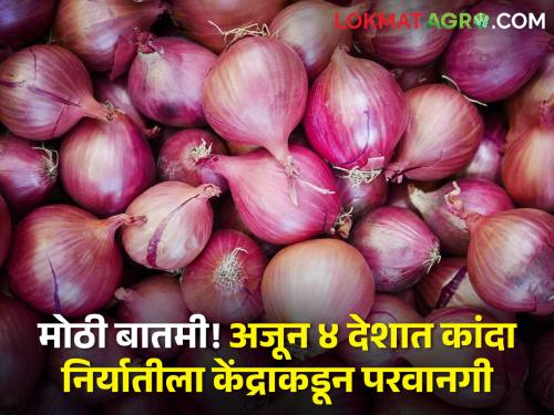 Big news! In four more countries central government allow to onion export by national cooperative export limited | केंद्र सरकारचा मोठा निर्णय! अजून 4 देशात कांदा निर्यातीला परवानगी; शेतकऱ्यांना फायदा होणार?