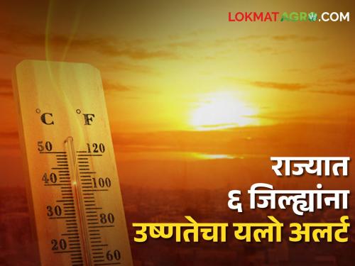 Heat wave alert: Yellow heat alert for 6 districts in the state today, Met department forecast | Heat wave alert: आज राज्यात ६ जिल्ह्यांना उष्णतेचा यलो अलर्ट, हवामान विभागाचा अंदाज