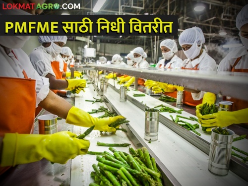 30 crore fund distributed for Pradhan Mantri Micro Food Processing Industry PMFME Scheme | प्रधानमंत्री सूक्ष्म अन्न प्रक्रिया उद्योग योजनेसाठी ३० कोटींचा निधी वितरीत