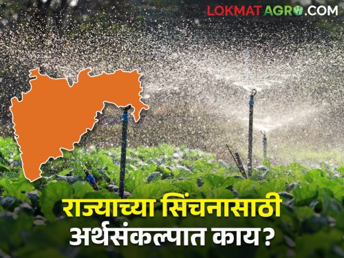 What did the irrigation department of the state get in the state budget? | तुमच्या गावात नवीन सिंचन प्रकल्प होणार का? तुमच्या शेताला पाणी मिळणार का?