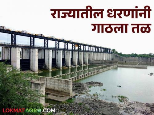 Dam Water Maharashtra: Acute shortage of water in all revenue divisions of the state including Marathwada   | Dam Water Maharashtra: राज्यातील मराठवाड्यासह सर्वच महसुल विभागात पाण्याची तीव्र टंचाई  