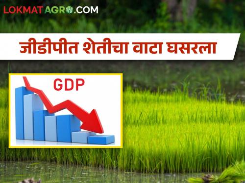 The share of agriculture in India's GDP from 35 percent to 15 percent! | भारताच्या जीडीपीमध्ये शेतीचा वाटा ३५ टक्क्यांहून १५ टक्क्यांवर!