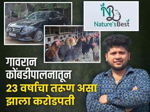 pune chandkhed 23 year old saurabh tapkir natures best poultry farm Earning crores Gavran Poultry Farming | गावरान कुक्कुटपालनातून वयाच्या २३ व्या वर्षी कोट्यावधींची कमाई