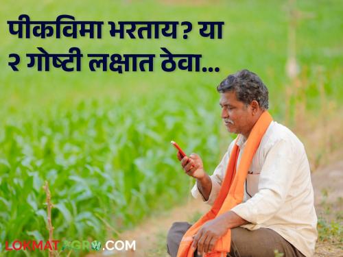 Crop Insurance: Paying for crop insurance? 'These' two things are important  | Crop Insurance : खरिपातील पीकविमा भरताय? 'या' दोन गोष्टी महत्त्वाच्या 