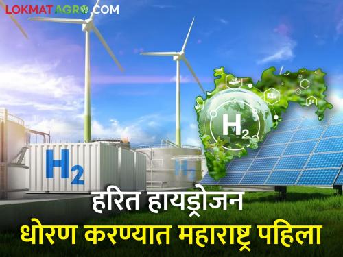 2 lakh 76 thousand crores investment in the state for production of green hydrogen | हरित हायड्रोजन निर्मितीसाठी राज्यात 2 लाख 76 हजार कोटींची गुंतवणूक