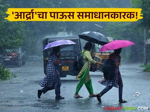 Rain: The farmer king became satisfied with the humid rain | Rain : आर्द्राच्या पावसाने शेतकरी राजा झाला समाधानी; १५ दिवसानंतर प्रतीक्षेनंतर पावसाची हजेरी