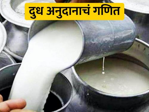 Rs 5 subsidy on milk; This district will get Rs. 11 lakh per day | दुधाला ५ रुपयांचे अनुदान; या जिल्ह्याला दररोज मिळणार ११ लाख रुपये