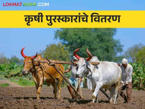 Farmer Award Distribution of Agriculture department in Mumbai how many mony get to farmers | Farmer Award : कृषी पुरस्काराचे मुंबईत वितरण! विजेत्या शेतकऱ्यांना मिळणार 'एवढी' रोख रक्कम