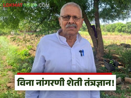 Zero Tillage Farming: What is the no-till farming technology that benefits even weeds in the field? | Zero Tillage Farming : शेतातील तणाचाही फायदा करून देणारे विना नांगरणी शेती तंत्रज्ञान काय आहे?