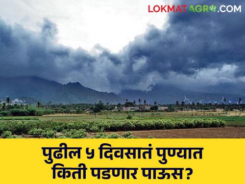 Pune Rain How much rain will fall Pune in the next five days What are the weather department warnings? | Pune Rain : पुढील पाच दिवसांत पुण्यात किती पडणार पाऊस? काय आहेत हवामान विभागाचे इशारे?