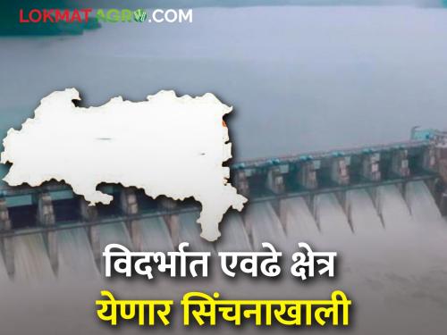 Revised approval of 18 thousand 399 crores for 47 projects in Vidarbha | विदर्भातील ४७ प्रकल्पांना १८ हजार ३९९ कोटींची सुधारित मान्यता