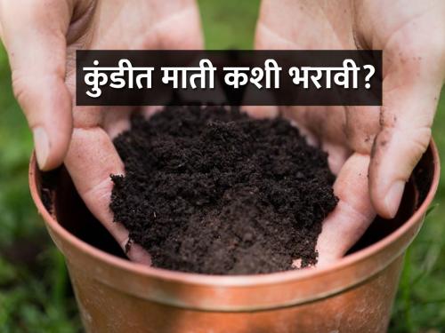 Use these simple tips to fill pots with soil | कुंडीत माती भरण्यासाठी वापरा या सोप्या टिप्स