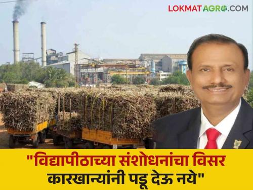 MPKV Vice Chancellor PG Patil "Vegetarian modified sugarcane variety makes your factories run wild; don't forget us" | MPKV Vice Chancellor PG Patil : "विद्यापीठाने संशोधित केलेल्या उसाच्या वाणामुळे तुमच्या कारखान्यांचे धुराडे चालू; आम्हाला विसरू नका"