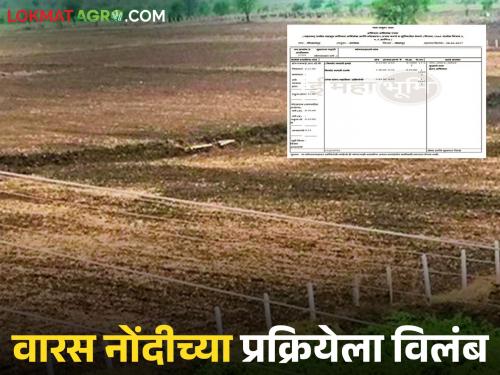 latest news E-Ferfar: Delay in heir registration process; Farmers just waiting for e-Ferfar! Read in detail | E-Ferfar: वारस नोंद प्रक्रियेत विलंब; ई-फेरफारची शेतकऱ्यांना नुसती प्रतीक्षा! वाचा सविस्तर