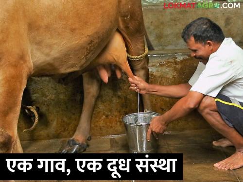 Mahanand Milk time will come; Management for next 5 years to National Dairy Development Board | महानंदची घडी बसणार; पुढील ५ वर्षांचे व्यवस्थापन राष्ट्रीय दुग्धविकास मंडळाकडे