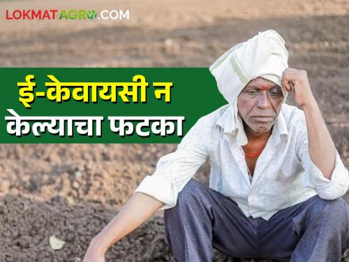 Impact of not doing e-KYC; 94 thousand farmers will miss the PM Kisan Samman Nidhi! | ई-केवायसी न केल्याचा फटका; ९४ हजार शेतकरी पीएम किसान सन्मान निधीला मुकणार!