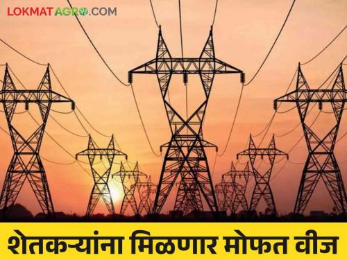 76 thousand farmers will get free electricity  | farmers will get free electricity : ७६ हजार शेतकऱ्यांना मिळणार मोफत वीज 