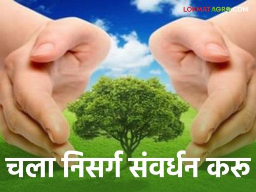 World Nature Conservation Day 2024 :  | World Nature Conservation Day 2024 : निसर्ग आपला मित्र