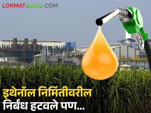 The central government has completely removed the ban on ethanol production from sugarcane but here is the small condition | Sugarcane Ethanol उसापासून इथेनॉल निर्मितीवरील निर्बंध केंद्र सरकारने पूर्णपणे हटविले पण त्यात आहे ही गोची